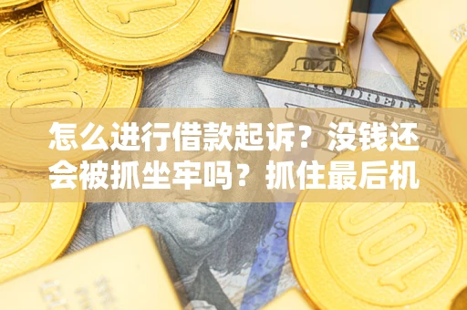 济南怎么进行借款起诉？没钱还会被抓坐牢吗？抓住最后机会！