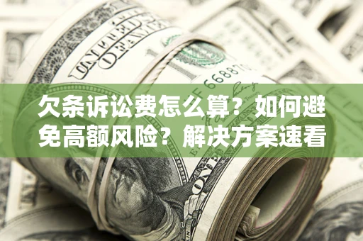 济南欠条诉讼费怎么算？如何避免高额风险？解决方案速看！