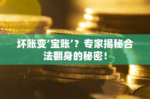 济南坏账变‘宝账’？专家揭秘合法翻身的秘密！