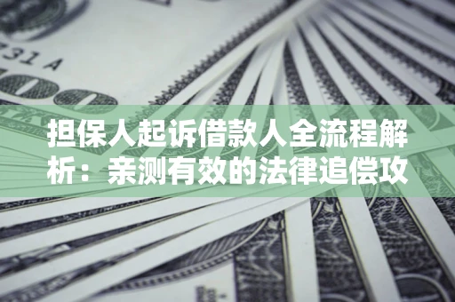 济南担保人起诉借款人全流程解析：亲测有效的法律追偿攻略