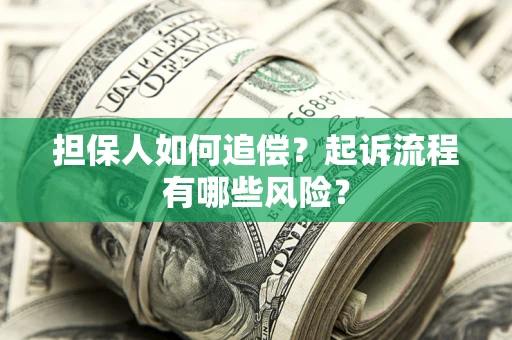 济南担保人如何追偿？起诉流程有哪些风险？