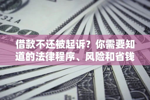 济南借款不还被起诉？你需要知道的法律程序、风险和省钱技巧