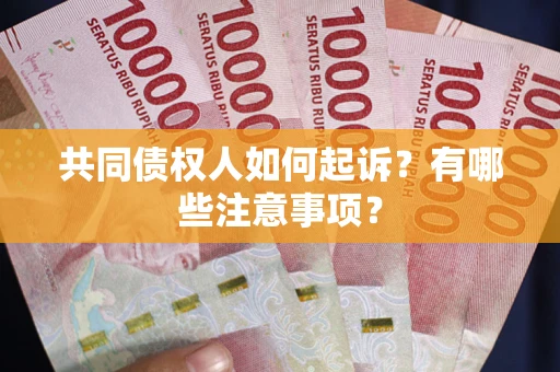济南共同债权人如何起诉？有哪些注意事项？